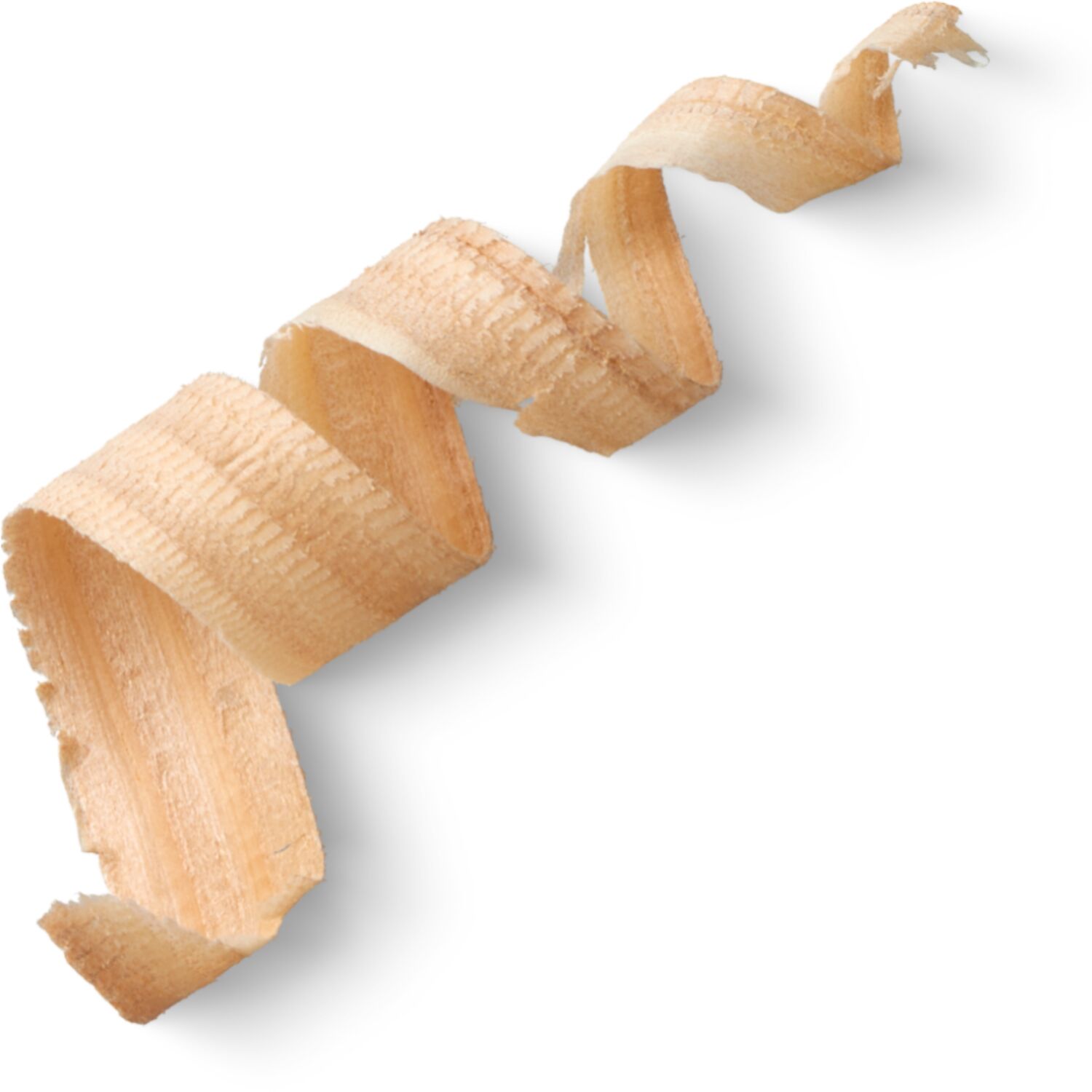 Noëline - odeur de bois Noëline - odeur de bois