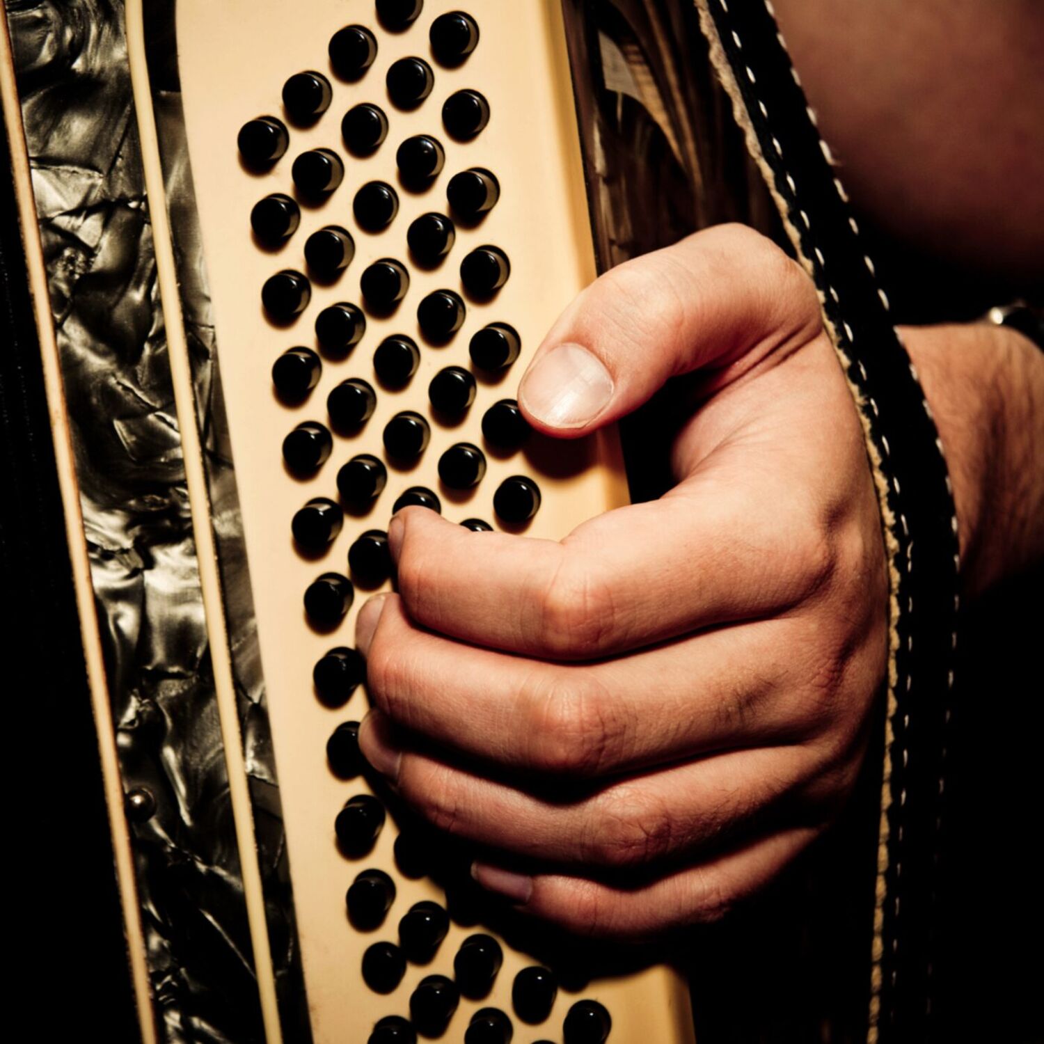 Instantanés du monde aux cocotiers (Île Rodrigues) Instantanés du monde aux cocotiers (Île Rodrigues)