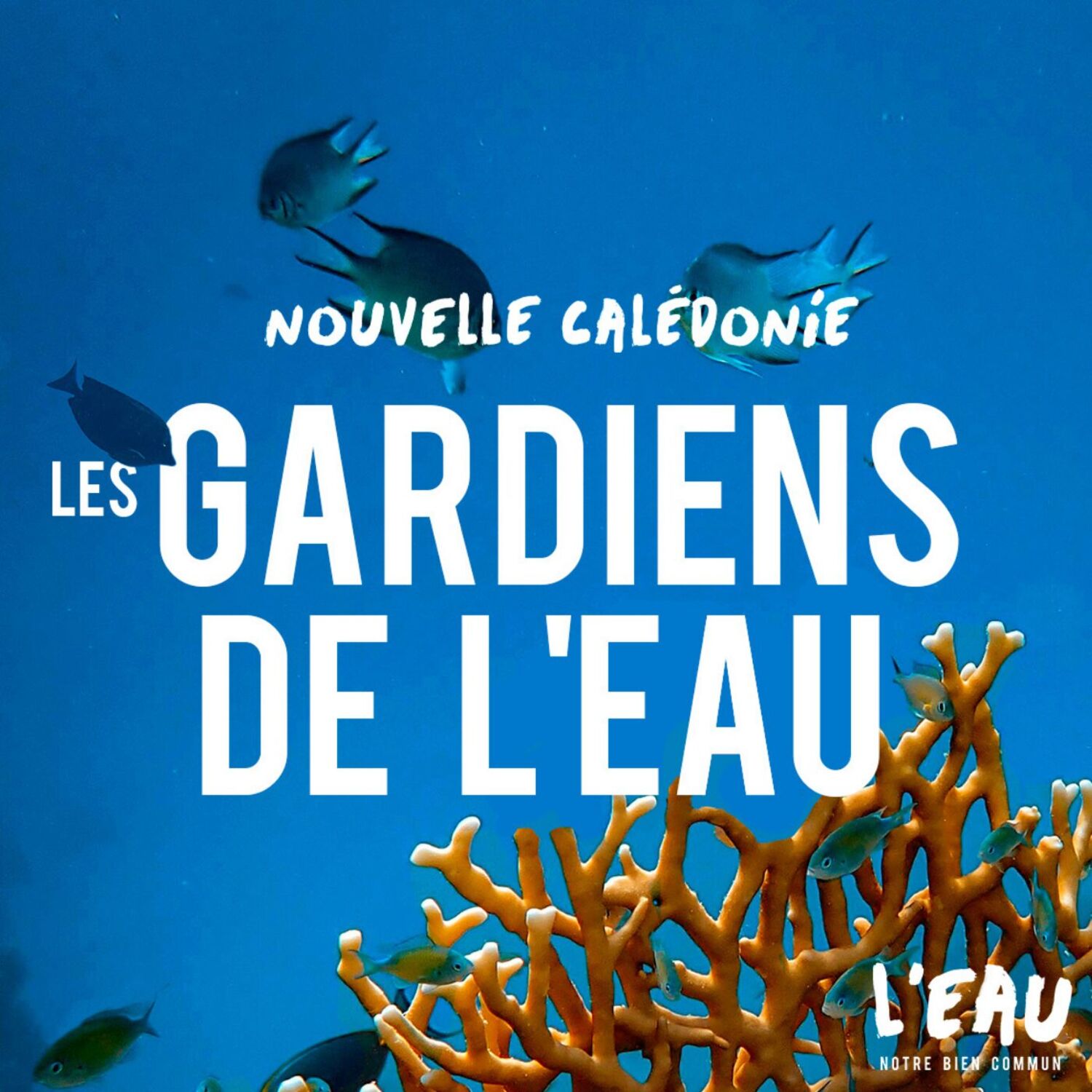 Les gardiens de l'eau en Nouvelle-Calédonie - 6/8