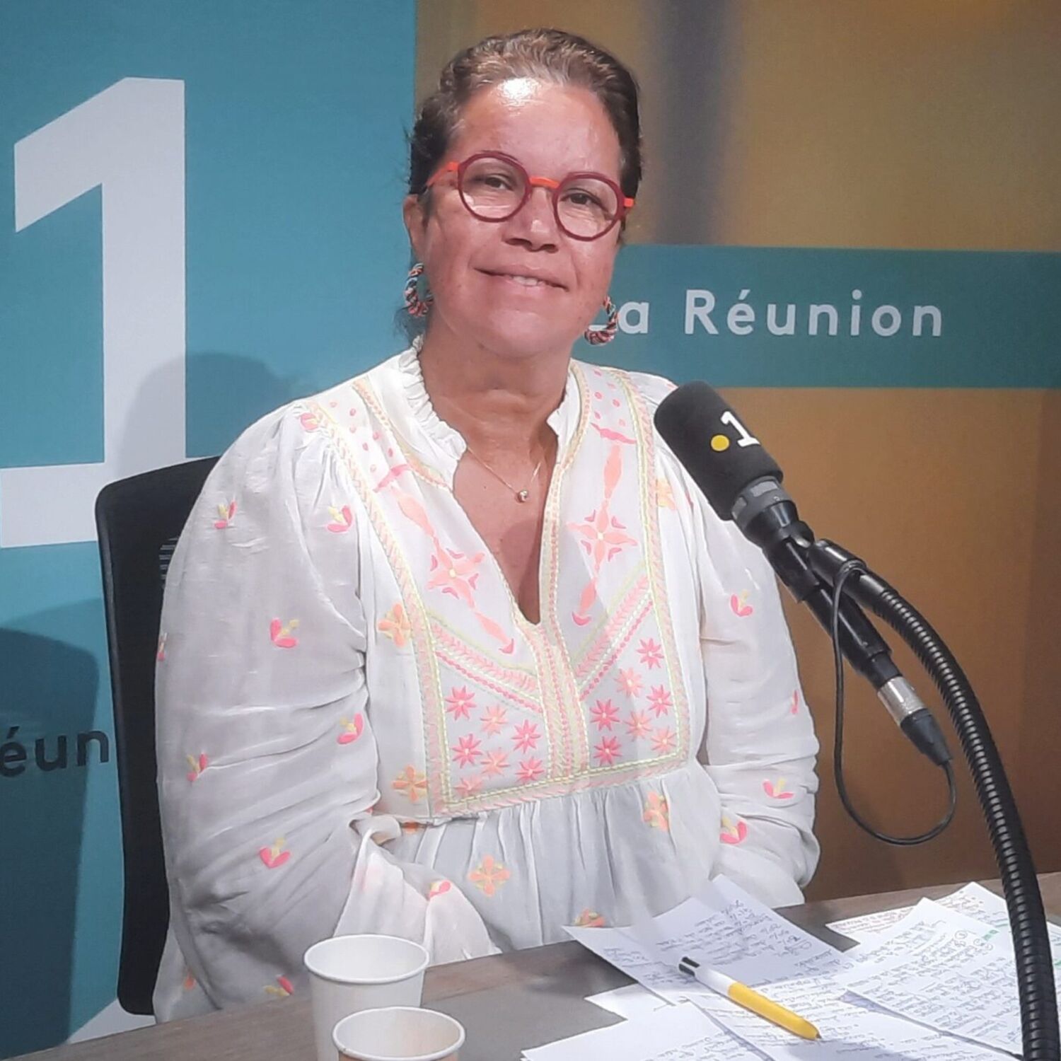 Martine Huitelec, référente  harcèlement  au rectorat de La Réunion episode artwork