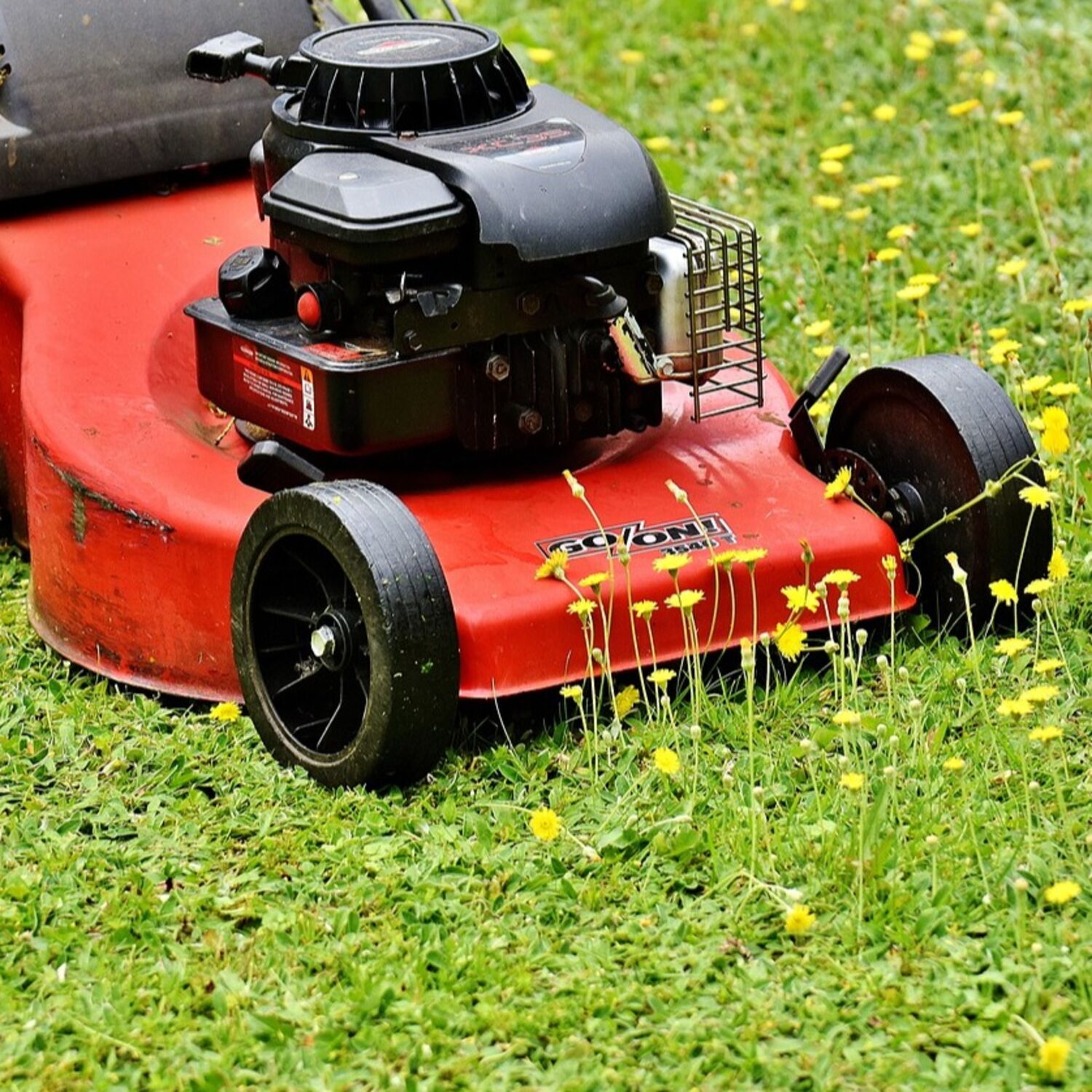 Mon voisin a-t-il le droit de tondre la pelouse un jour férié ?