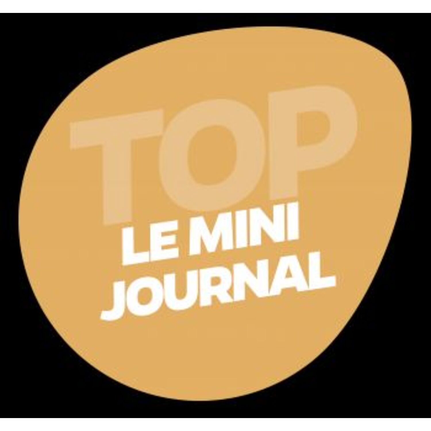 Le Mini Journal