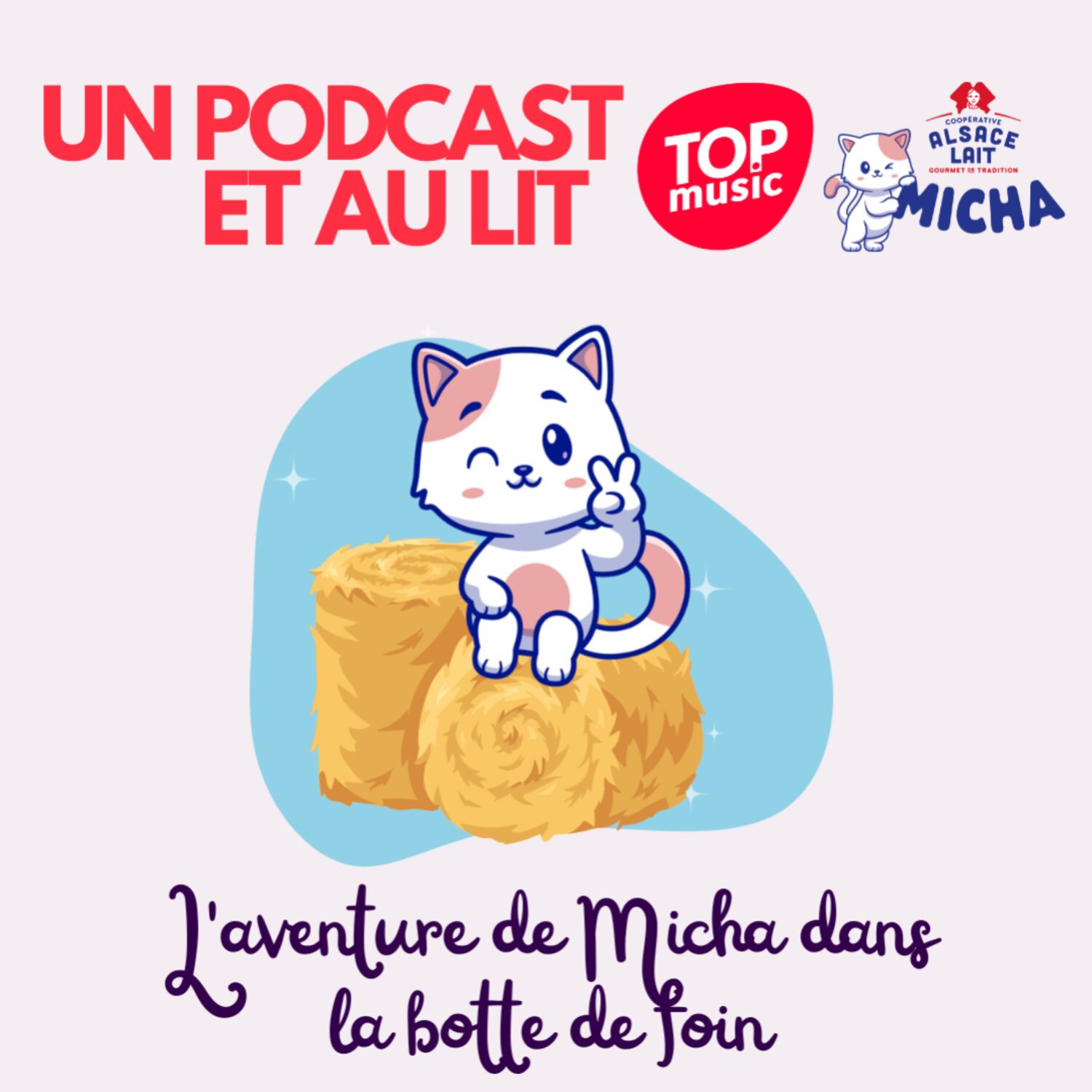 L'aventure de Micha dans la botte de foin