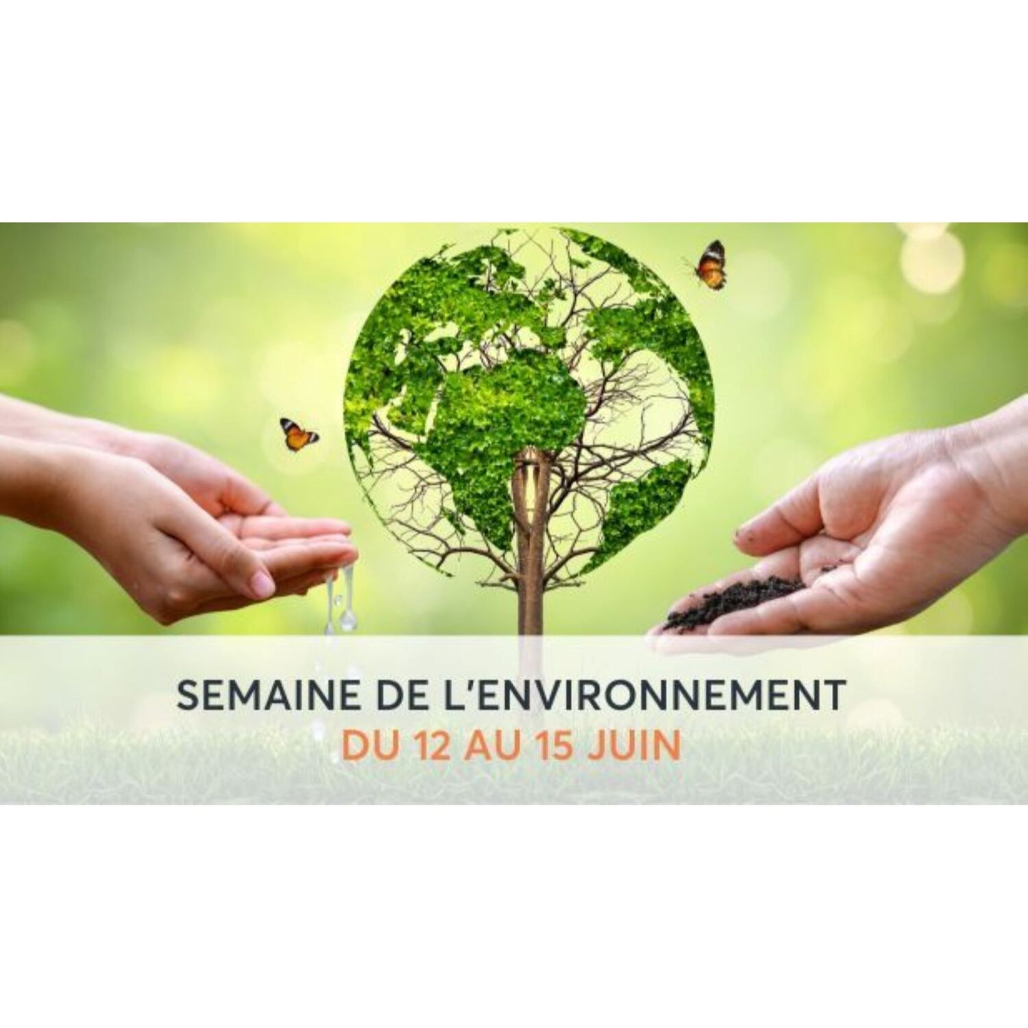 100% chez vous dans les  P.O avec PHILIPPE : Semaine de...
