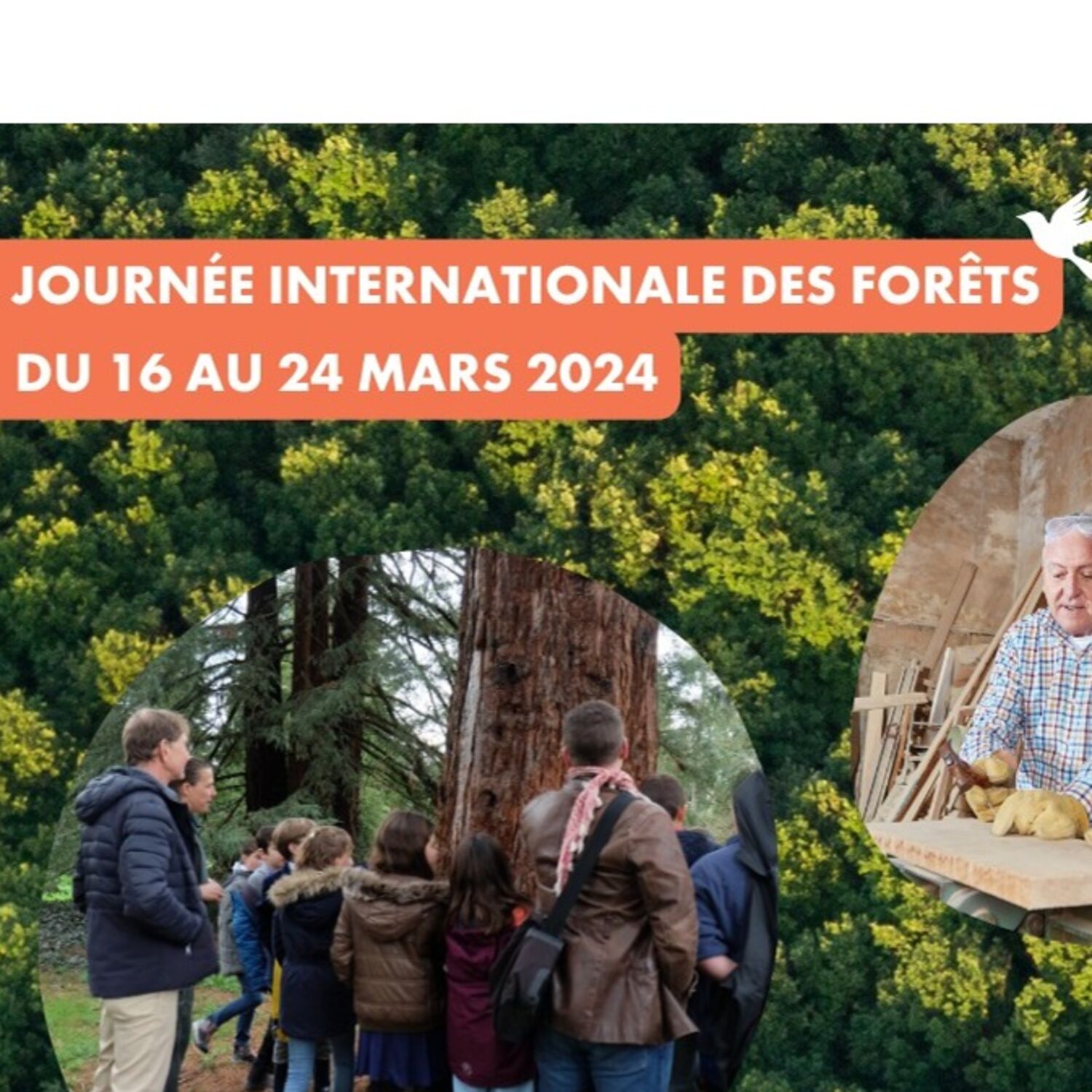 Podcast de l'émission 100% chez vous : Journée internationale des...