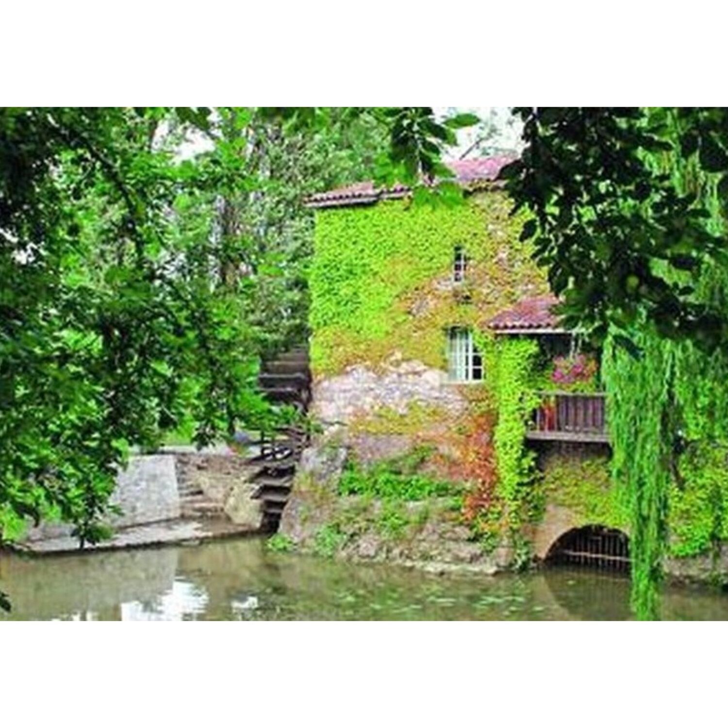 La balade du jour sur 100% radio au Moulin de Cocussotte dans le...