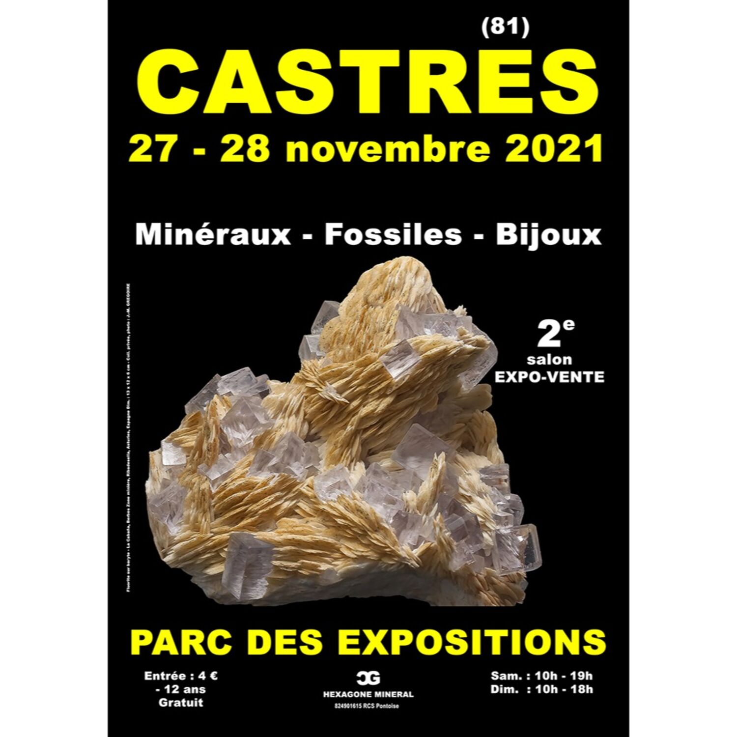 Podcast de l'émission 100% chez vous avec le Salon minéraux,...