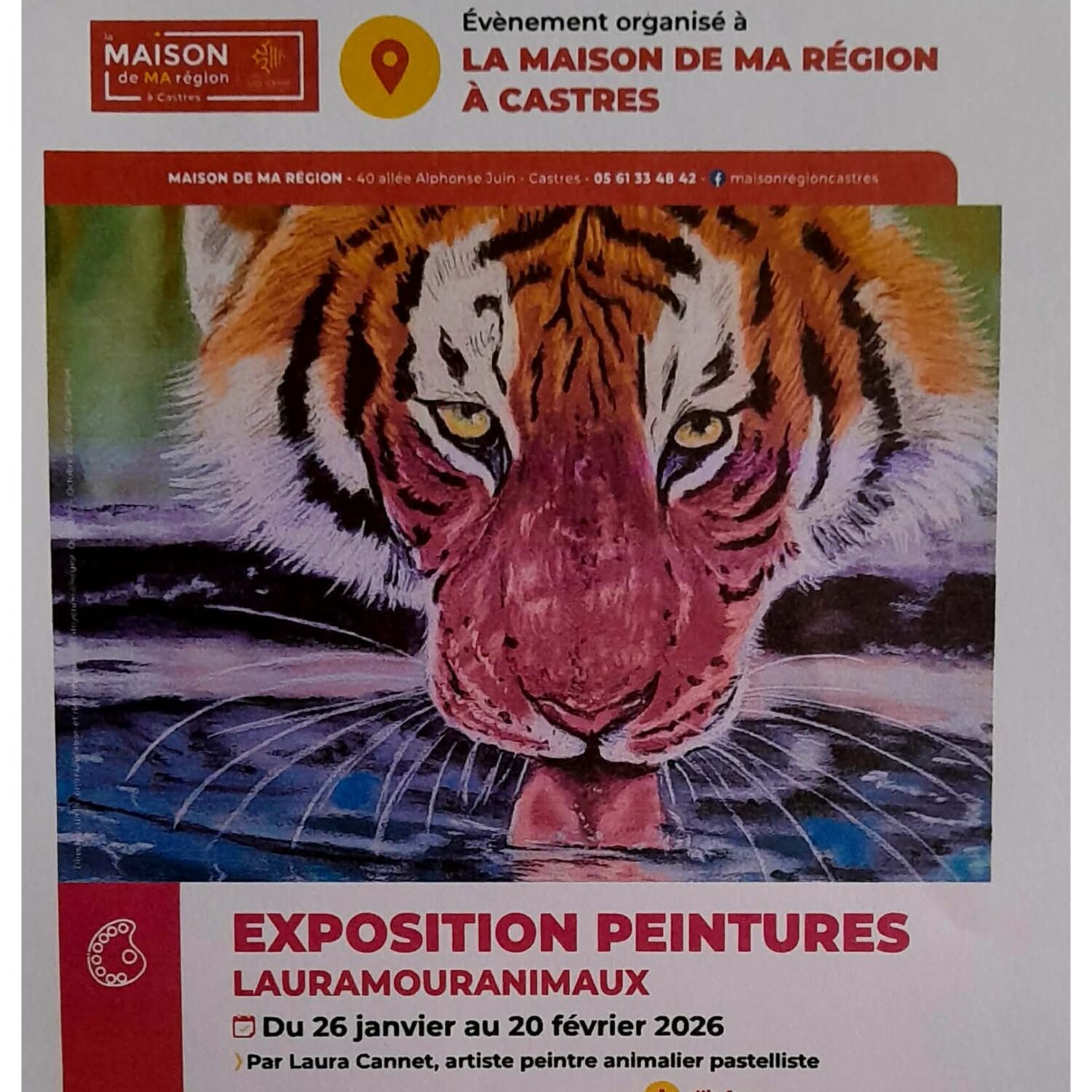 EXPO PEINTURES ANIMAUX à CASTRES- Laura Cannet sur 100%