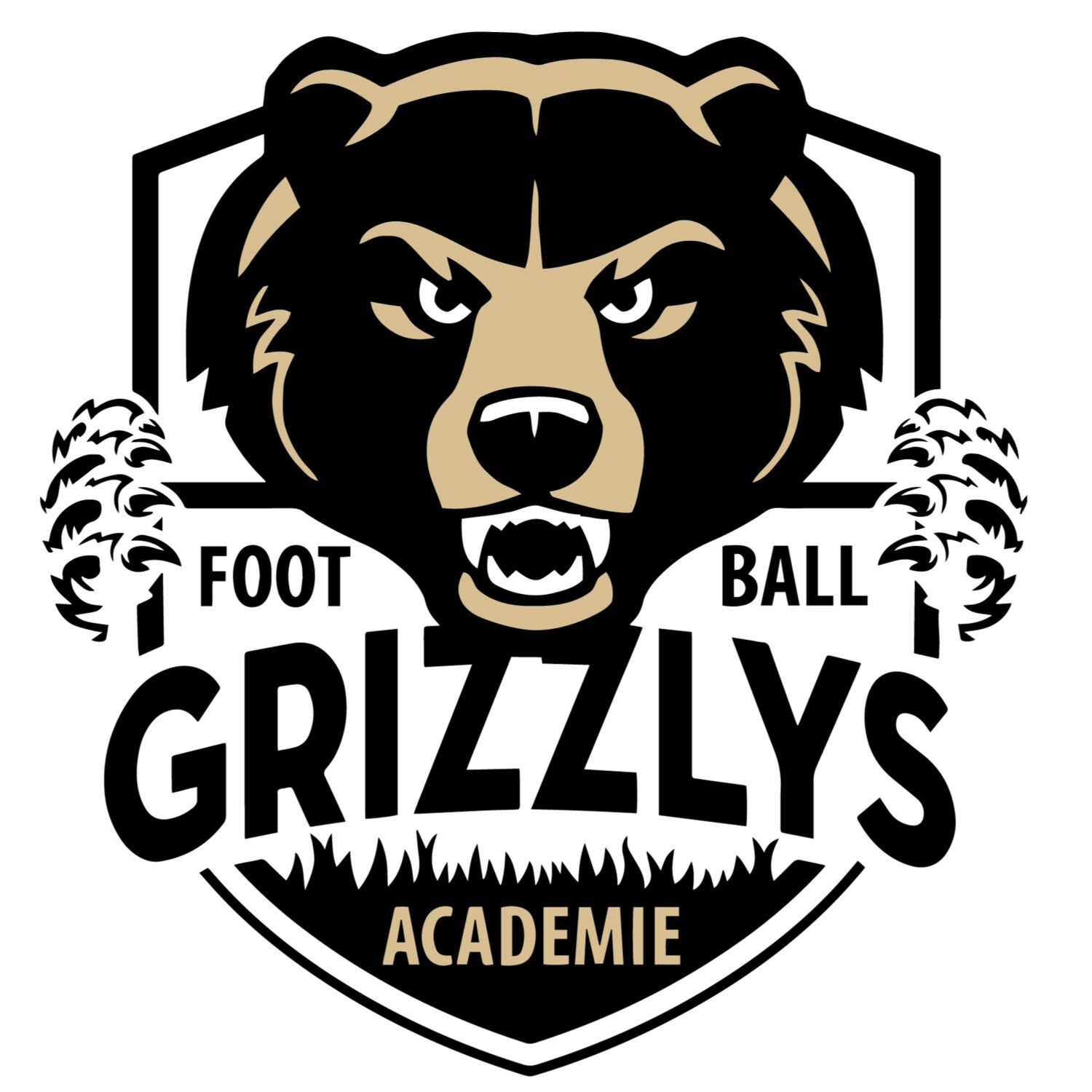 100% chez vous dans les  PO avec PHILIPPE : Les grizzlys Catalans...