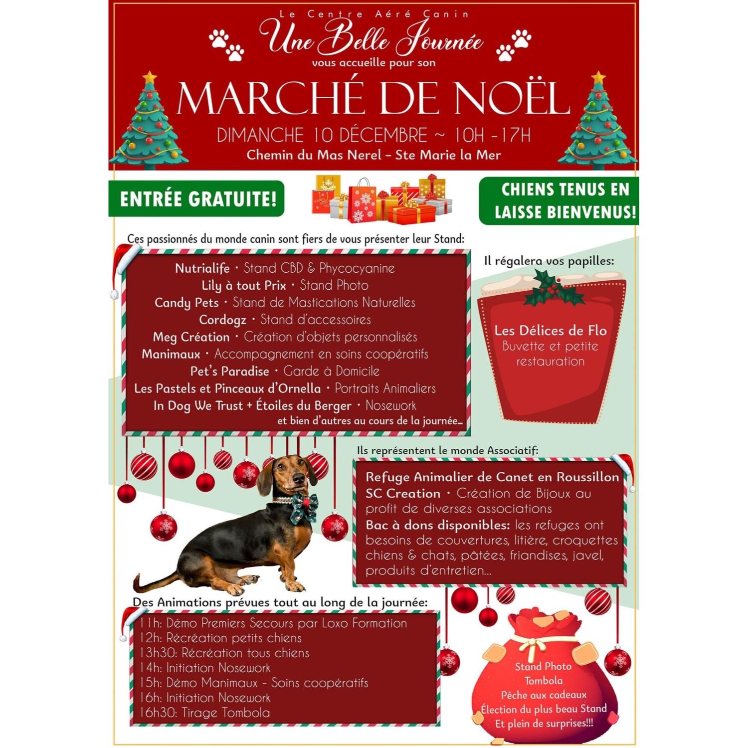 100% chez vous dans les  PO avec PHILIPPE : Marché de noël canin à...