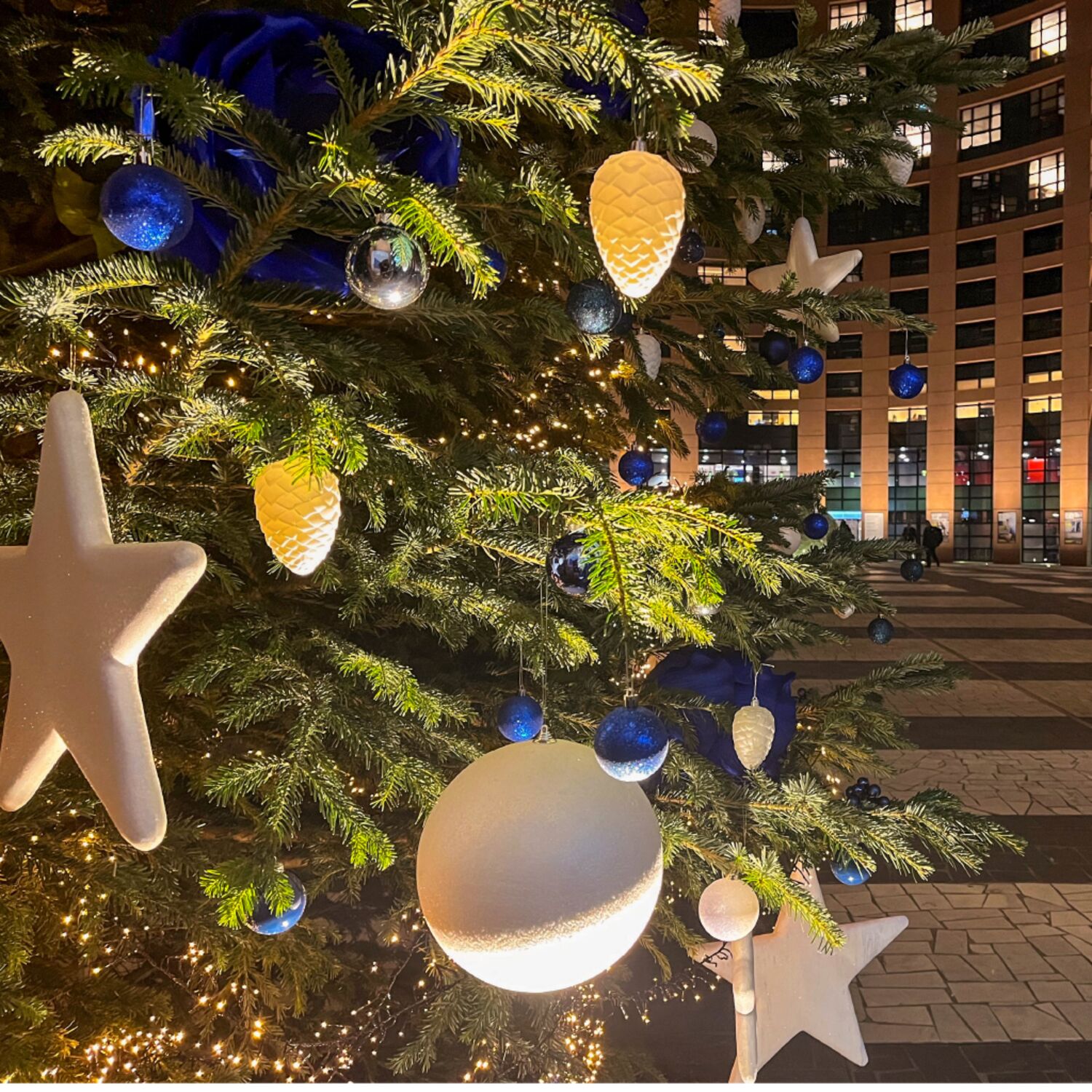 Povzetek plenarnega zasedanja – Strasbourg, december 2025 episode artwork