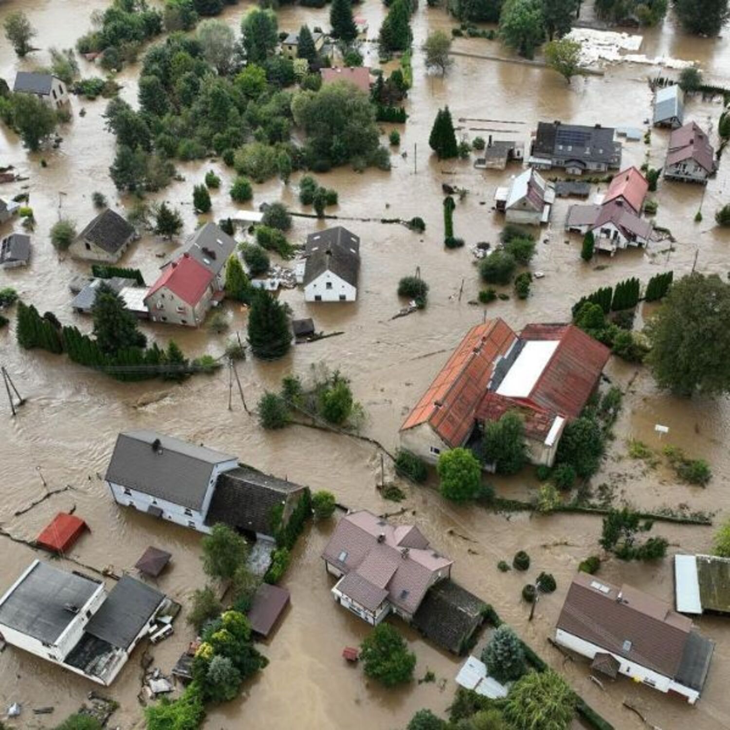 Povzetek plenarnega zasedanja