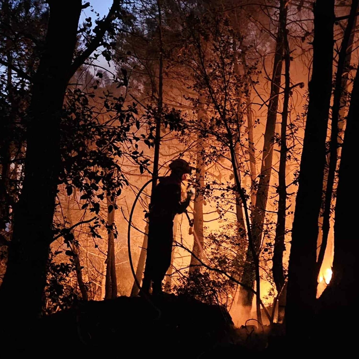Les zooms de la rédac - Normandie