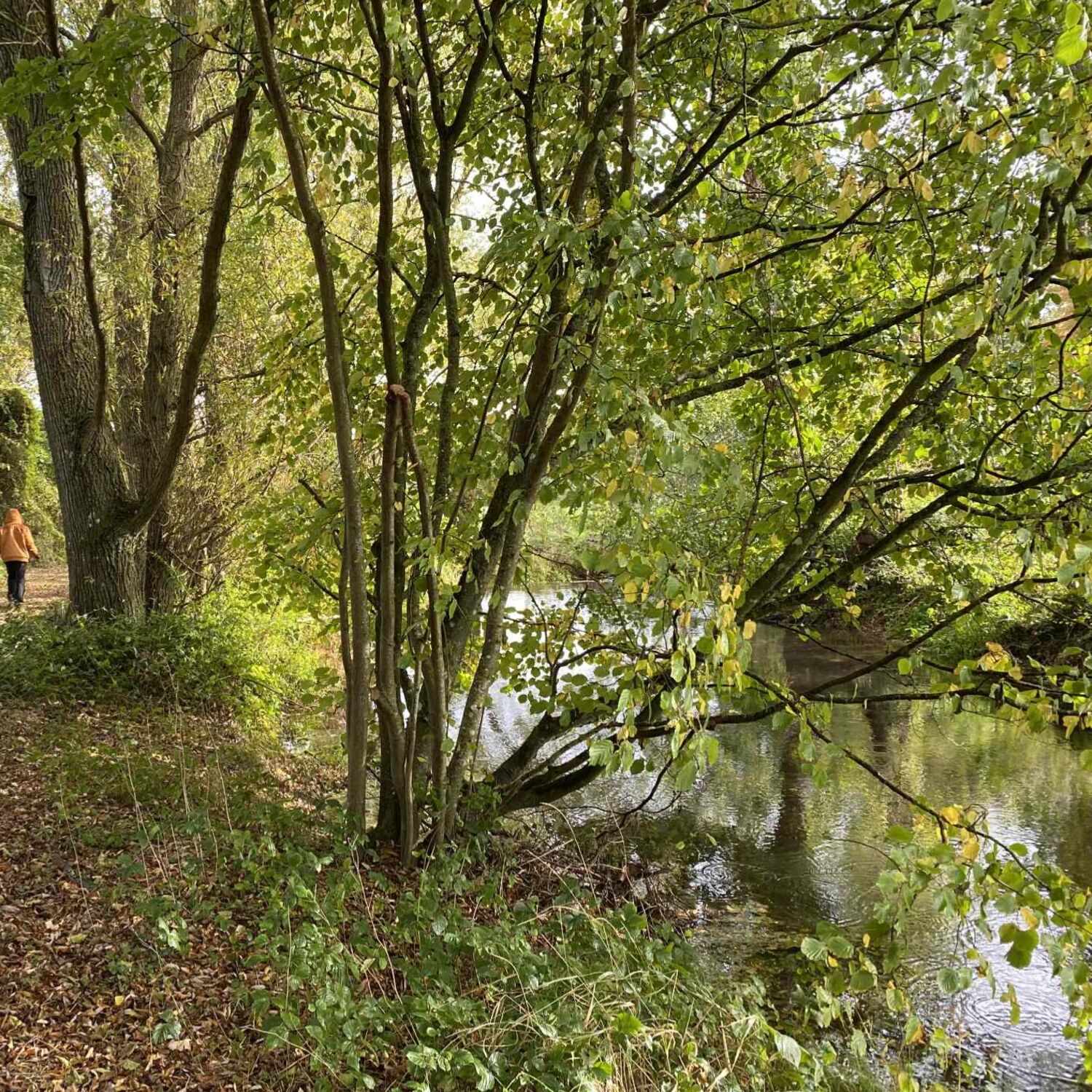 Les zooms de la rédac - Normandie