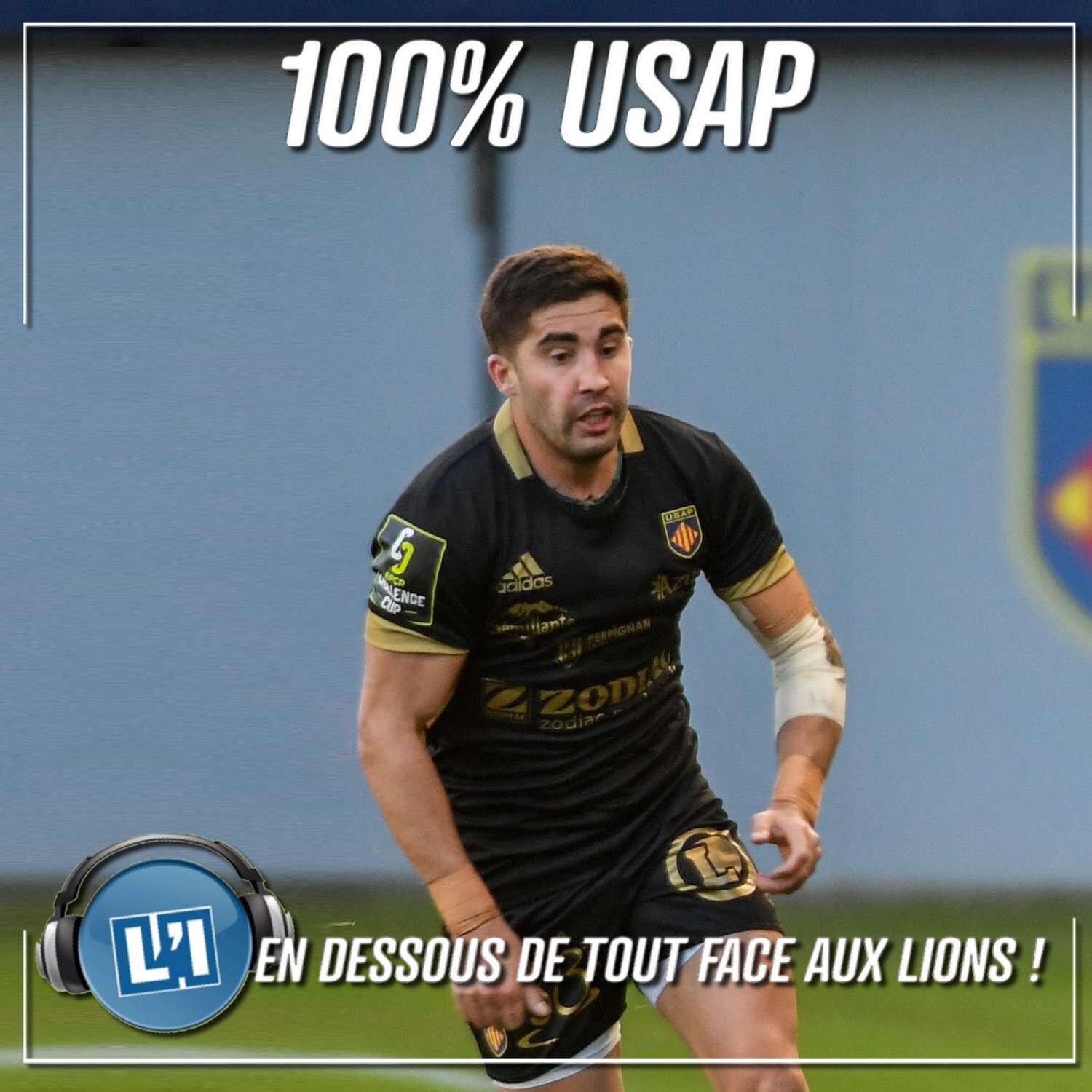 EN DESSOUS DE TOUT FACE AUX LIONS, ANALYSE ...
