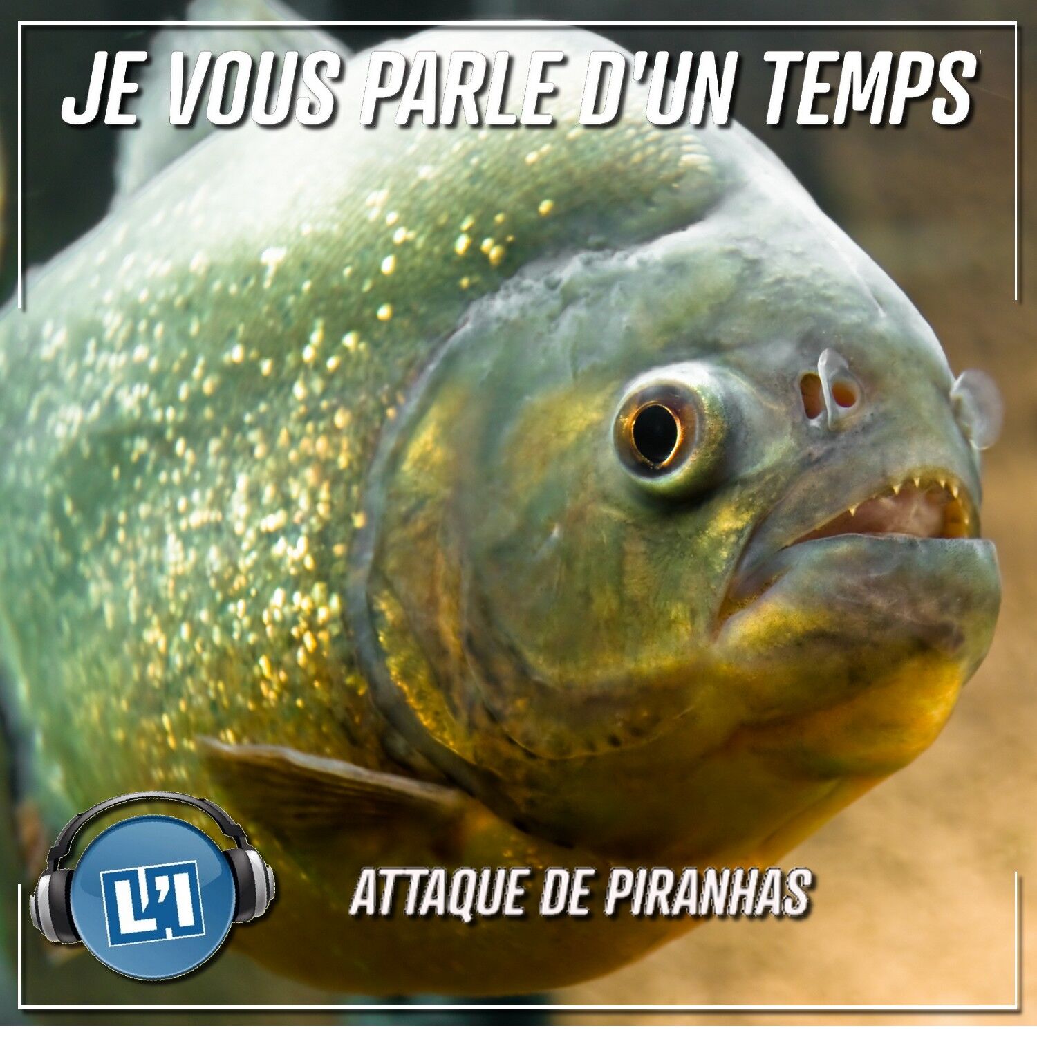 ATTAQUE MORTELLE DE PIRANHAS EN AMAZONIE