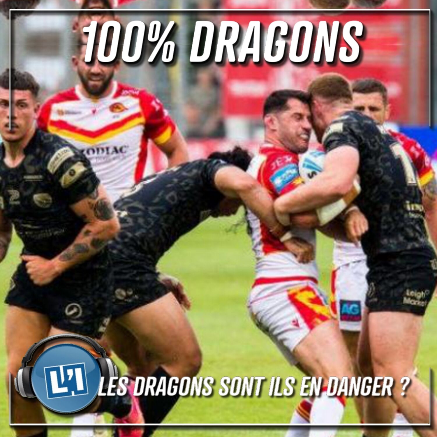LES DRAGONS SONT-ILS EN DANGER ?