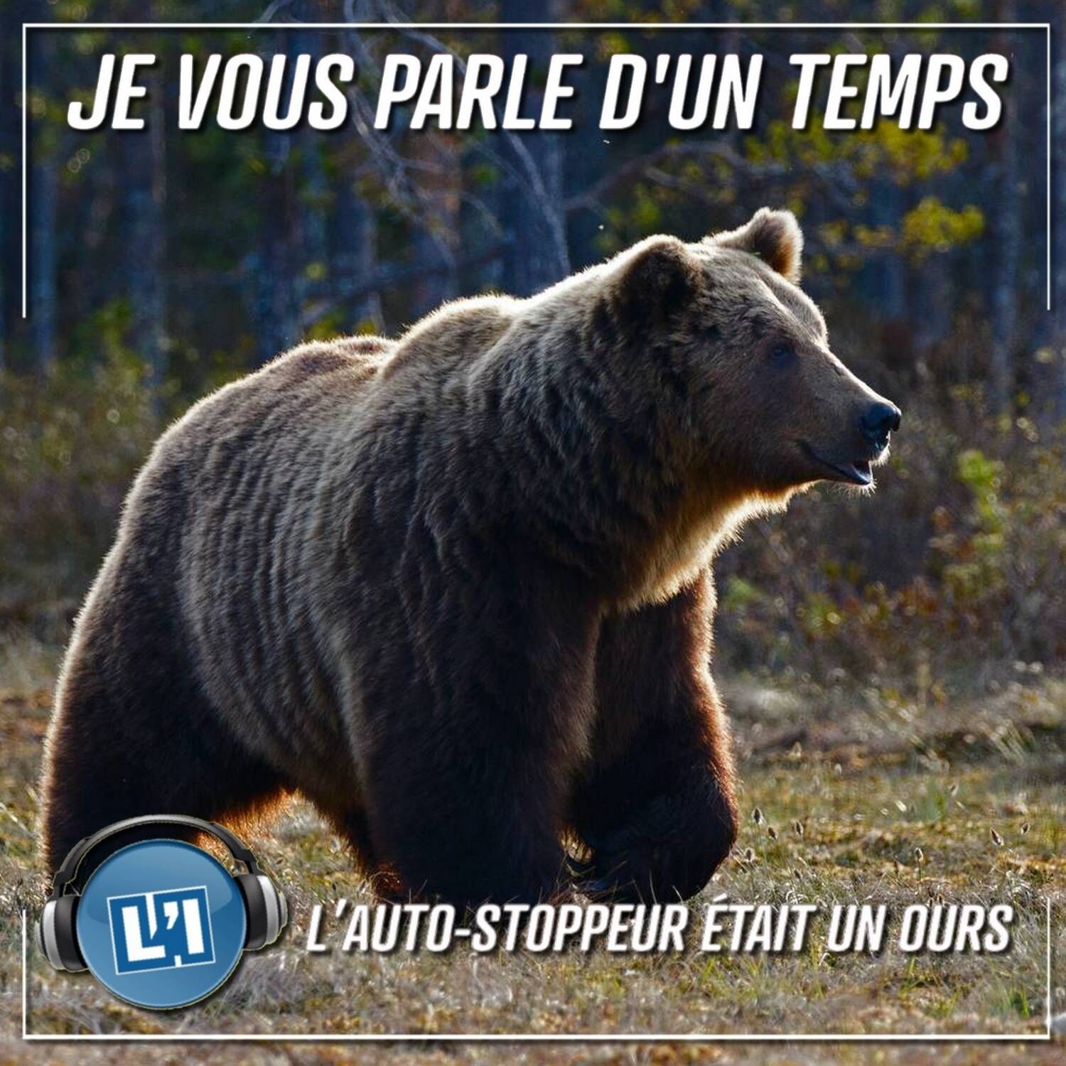 L'AUTO-STOPPEUR ETAIT UN OURS