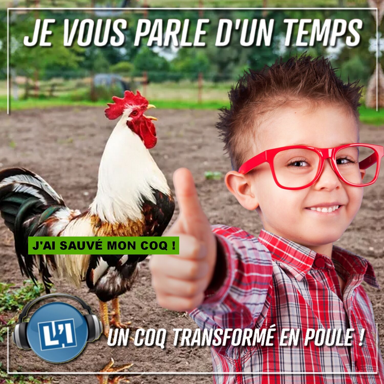 IL TRANSFORME SON COQ EN POULE ET LE SAUVE !