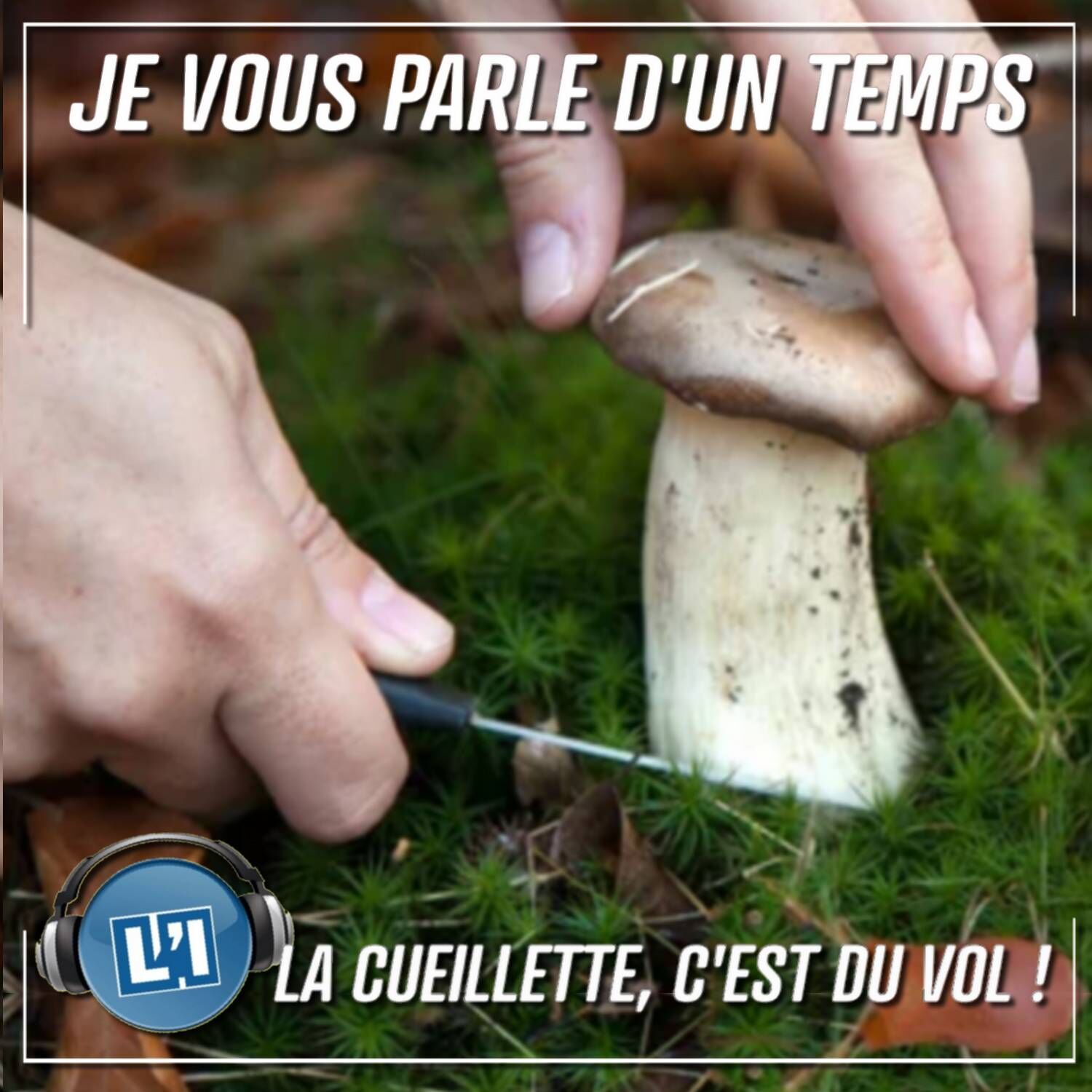 LA CUEILLETTE C'EST DU VOL !