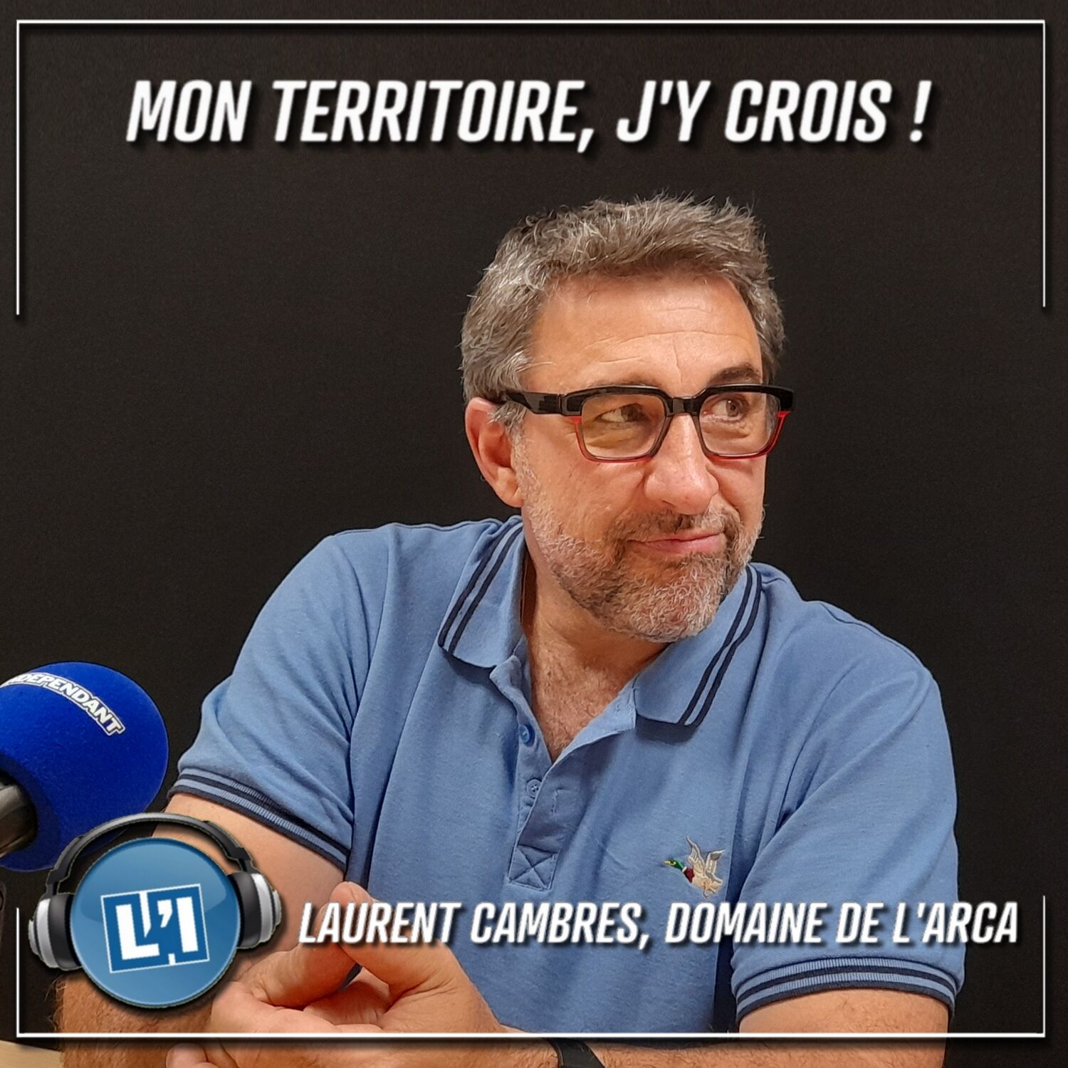 COMMENT STRUCTURER SON ACTIVITE VITICOLE FACE AUX NOUVEAUX ENJEUX ?. episode artwork