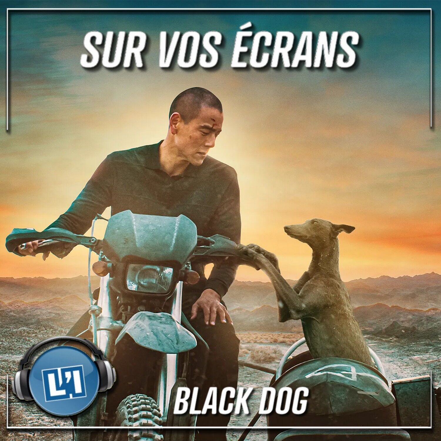 BLACK DOG - UN JOLI CONTE MODERNE