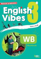 Anglais 3e Cahier d'activités English Vibes ed 2017