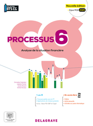 Processus 6 - Analyse de la situation financière BTS Comptabilité Gestion (CG) (2025)