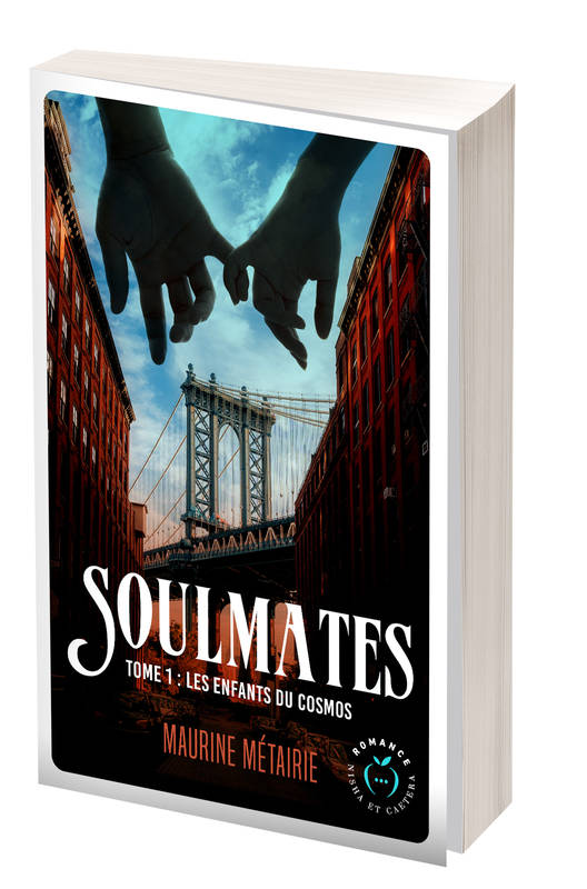 Soulmates tome 1, Les Voleurs de New York