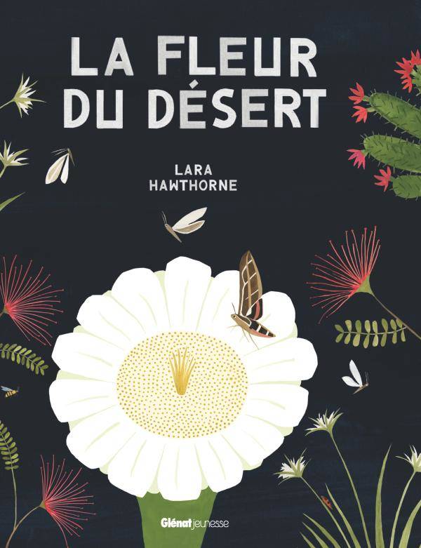 La Fleur du désert, La Fleur du désert