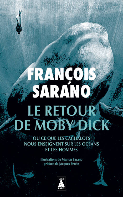 Livres Écologie et nature Nature Faune Le retour de Moby Dick, Ou ce que les cachalots nous enseignent sur les océans et les hommes François Sarano