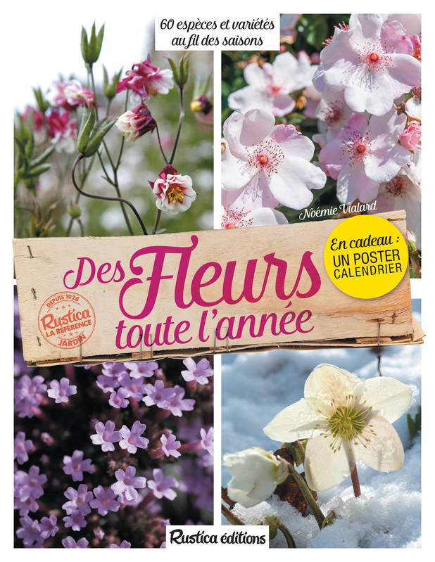 Des fleurs toute l'année