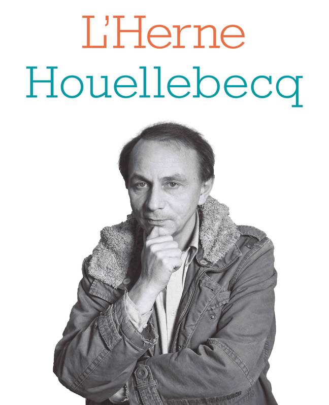 Livres Littérature et Essais littéraires Essais Littéraires et biographies Essais Littéraires Michel Houellebecq Agathe Novak-Lechevalier