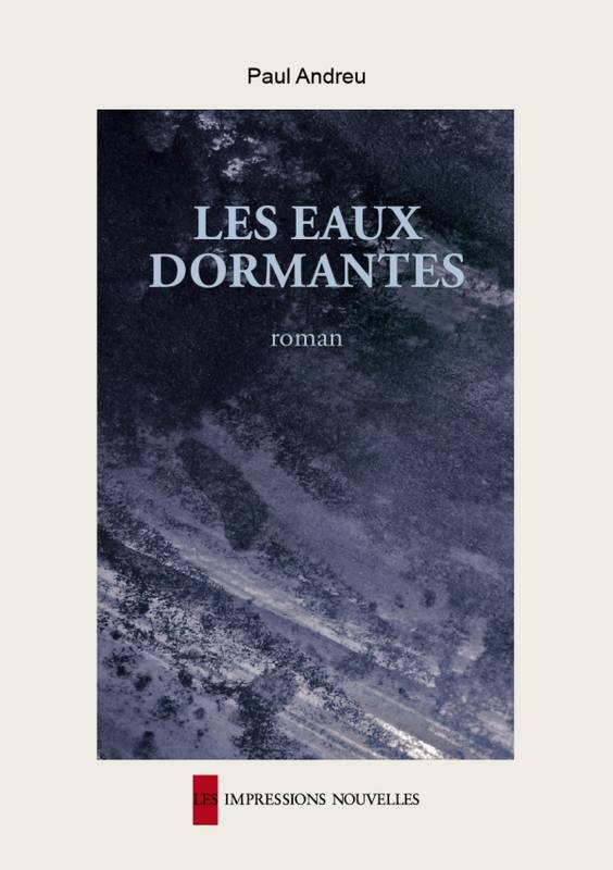 Livres Littérature et Essais littéraires Romans contemporains Francophones Les eaux dormantes Paul Andreu