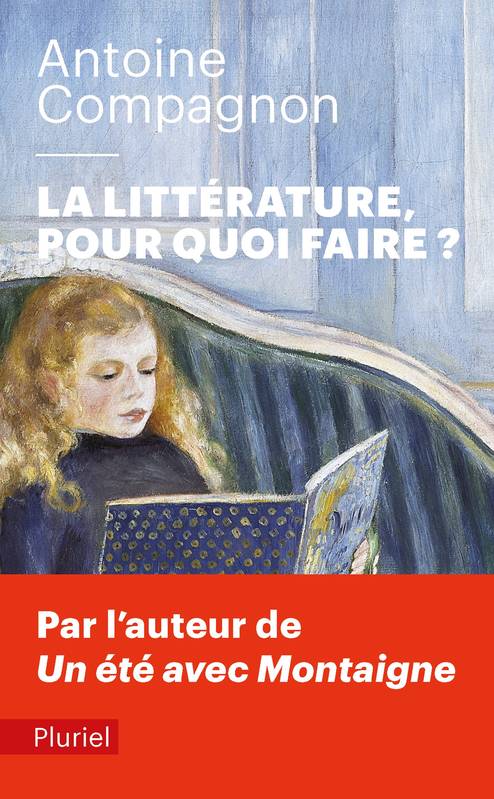 La littérature, pour quoi faire ?