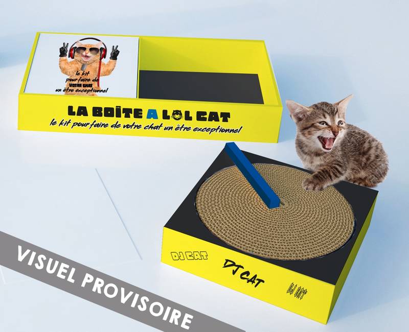 Livres Loisirs Loisirs créatifs et jeux Loisirs créatifs La boite à LOL Cat, Le kit pour faire de votre chat un être exceptionnel Gaël Le Neillon