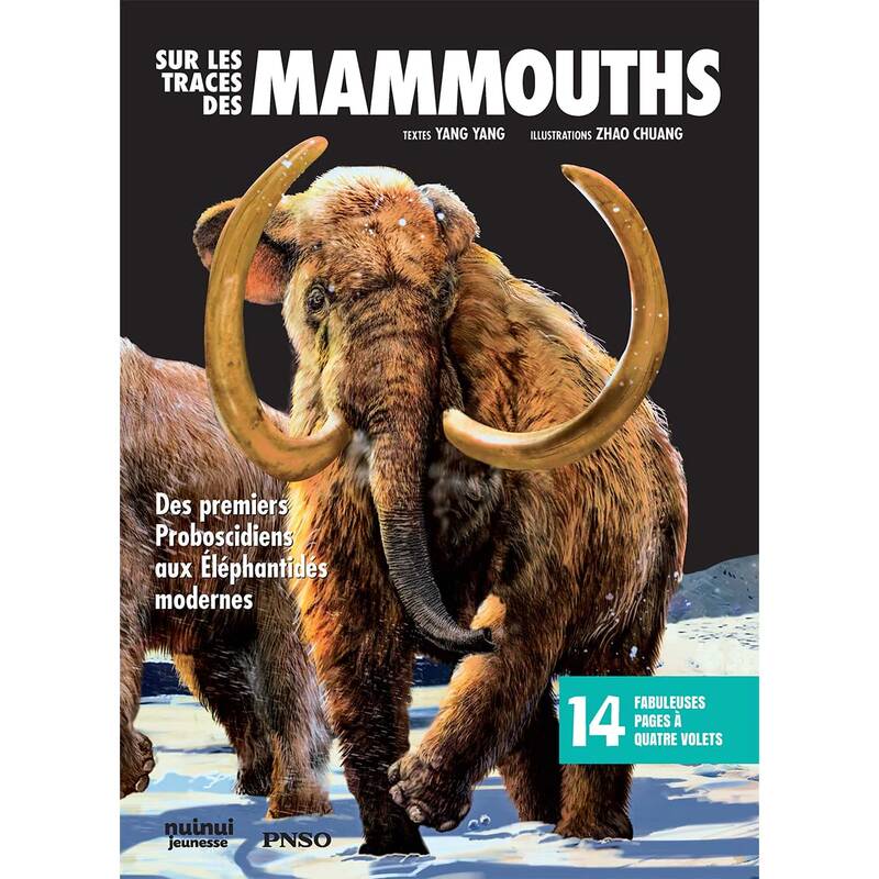 Livres Ados et Jeunes Adultes Les Ados Documentaires Animaux Sur les traces des mammouths - Des premiers Proboscidiens aux Éléphantidés modernes Yang YANG