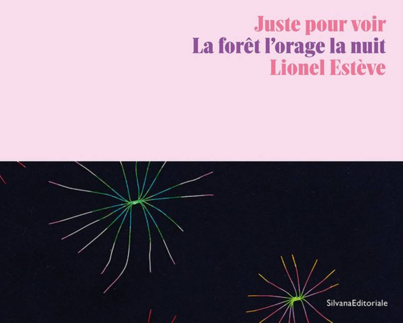 LIONEL ESTEVE : JUSTE POUR VOIR, LA FORET L ORAGE LA NUIT