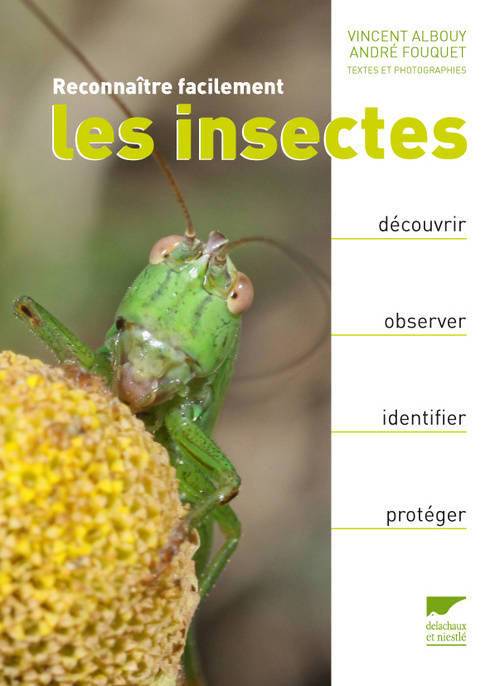 Livres Écologie et nature Nature Faune Reconnaître facilement Reconnaître facilement les insectes, Découvrir, observer, identifier, protéger Vincent Albouy, André Fouquet