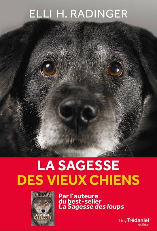 La sagesse des vieux chiens, Tout ce que le meilleur ami de l'homme peut nous apprendre de la vie