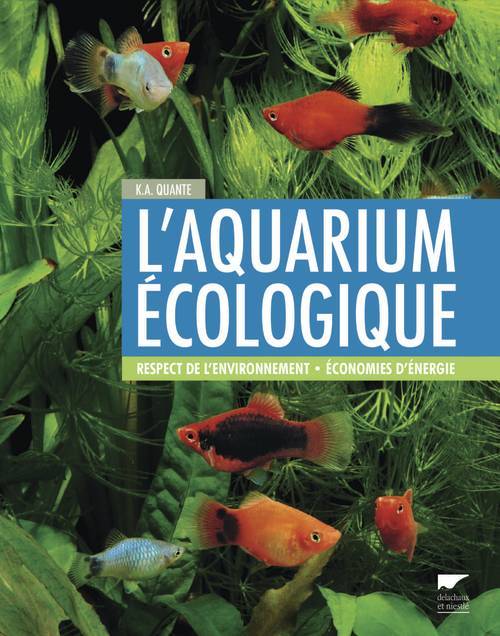 L'Aquarium écologique, Respect de lenvironnement, Economies dénergie