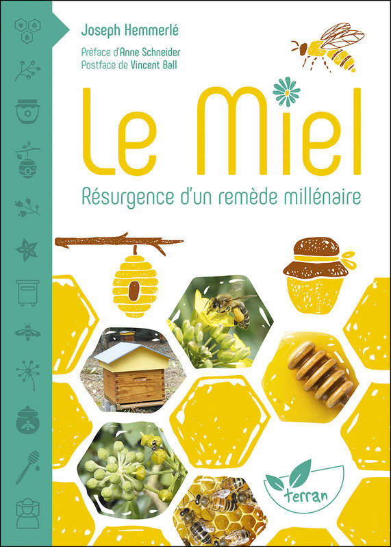 Le miel, Résurgence d'un remède millénaire