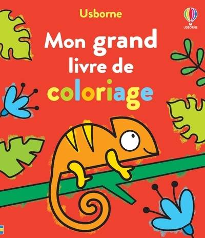 Mon grand livre de coloriage