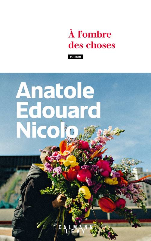 Livres Littérature et Essais littéraires Romans contemporains Francophones À l'ombre des choses Anatole Edouard Nicolo