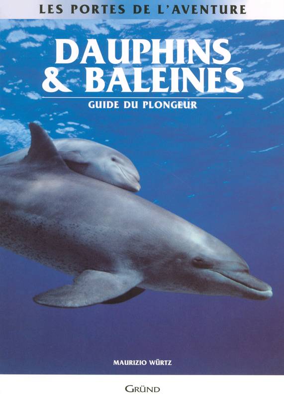 Dauphins & baleines