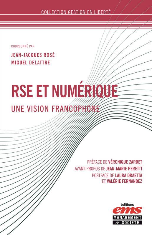 RSE et numérique, Une vision francophone