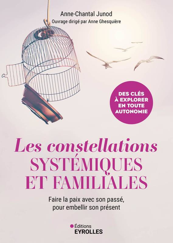 Livres Sciences Humaines et Sociales Psychologie et psychanalyse Les constellations systémiques et familiales, Libérez-vous de vos schémas inconsciemment hérités pour mieux vivre votre présent Anne-Chantal Junod