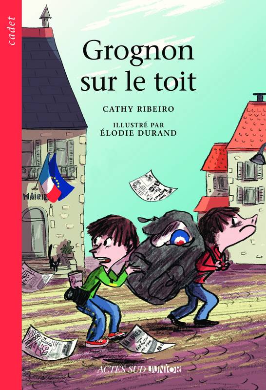 grognon sur le toit Cathy  ribeiro