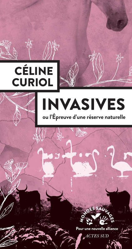 Invasives, Ou l’épreuve d’une réserve naturelle Céline Curiol