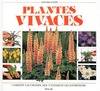 Plantes vivaces Sue Phillips